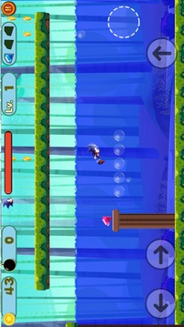 Sonic Speed Jungle Adventures游戏截图3