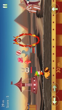 Circus Lion Ring Jump游戏截图4