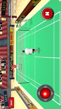 Badminton Games Free 2017 3D游戏截图2