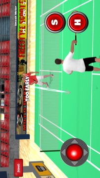 Badminton Games Free 2017 3D游戏截图3