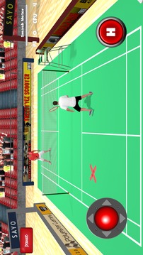 Badminton Games Free 2017 3D游戏截图4