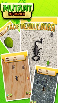 Ant Smasher Tap Bugs Free游戏截图4