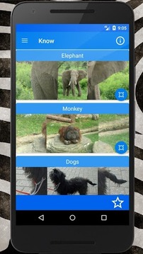 ANIMALS Quiz & Knowledge游戏截图2