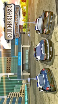 Police Chase Extreme Driving游戏截图2