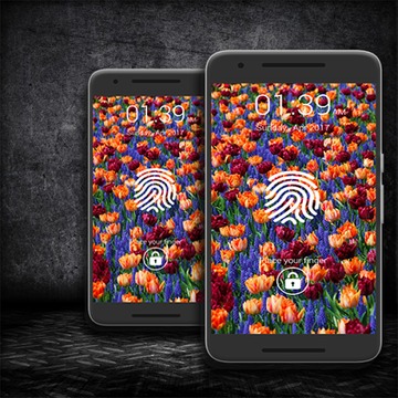 Fingerprint Scanner Lock Prank游戏截图3