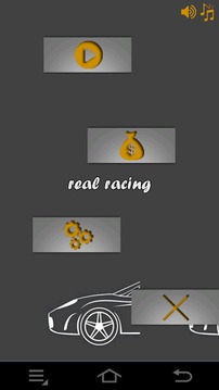 real racing游戏截图1