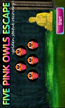 Five Pink Owl Escape Game游戏截图1