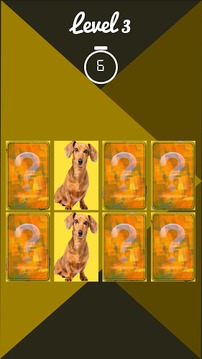 dog memory game游戏截图3