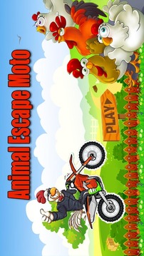 Animal Escape Moto - Fun Games游戏截图1