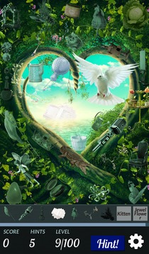 Hidden Object - Love and Light游戏截图3