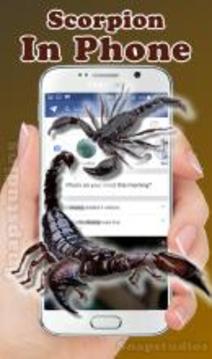 Scorpion on screen run in phone prank游戏截图1