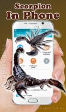 Scorpion on screen run in phone prank游戏截图3