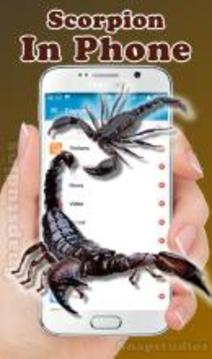 Scorpion on screen run in phone prank游戏截图4