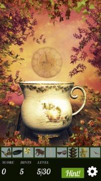 Hidden Object - Briar Rose游戏截图3