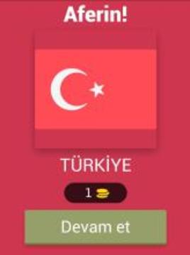 Ülke Bayrakları Testi游戏截图5