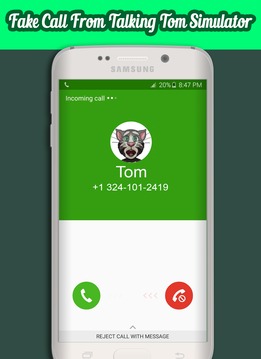 Call From Talking Tom游戏截图1