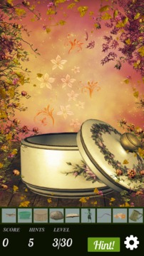 Hidden Object - Briar Rose游戏截图5