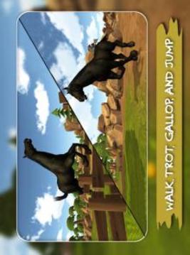 Wild Horse Adventure 3D游戏截图2