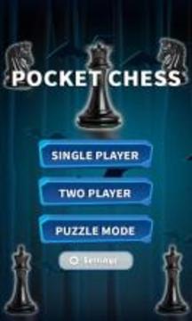 Pocket Chess 2017游戏截图5