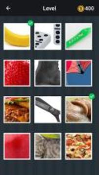 Close Up Pics - Zoom Quiz游戏截图5