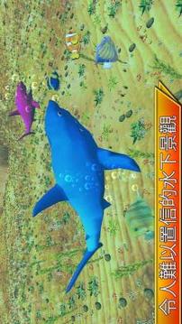 野生 海 鲸 动物游戏截图3