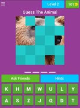 Guess The Animal Pics游戏截图4
