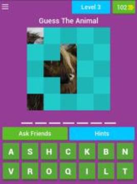 Guess The Animal Pics游戏截图5