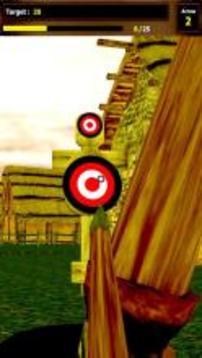 Archery Match 3D游戏截图1