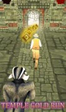 Temple Gold Run游戏截图4
