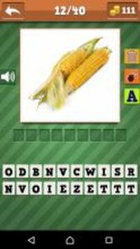 Vegetables Quiz for kid游戏截图2