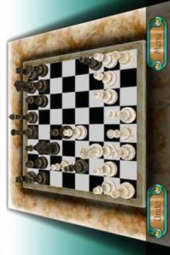 Royal 3D Chess游戏截图2