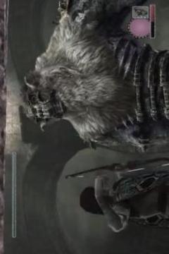 Game Shadow Of The Colossus Guide游戏截图1