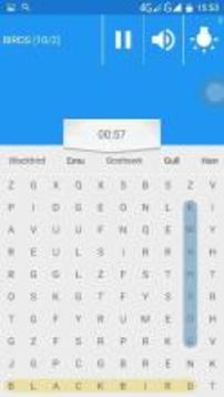 Word Search Pro Game游戏截图3