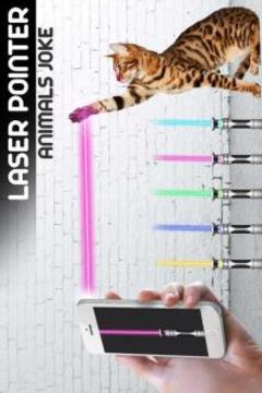 Laser Pointer Animal游戏截图2