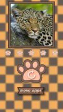 What animal am i?游戏截图3