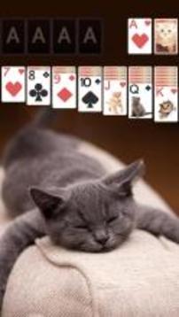 Solitaire Cute Cats Theme游戏截图1
