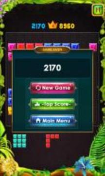 Block Puzzle Saga 2017游戏截图3