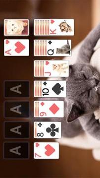 Solitaire Cute Cats Theme游戏截图3