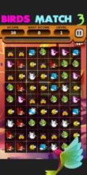 Angry Hunting Birds Match 3游戏截图1