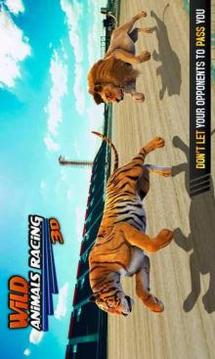 野生动物赛车3D游戏截图2
