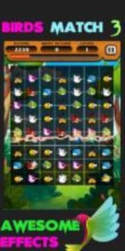 Angry Hunting Birds Match 3游戏截图3
