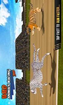 野生动物赛车3D游戏截图3