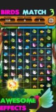 Angry Hunting Birds Match 3游戏截图2