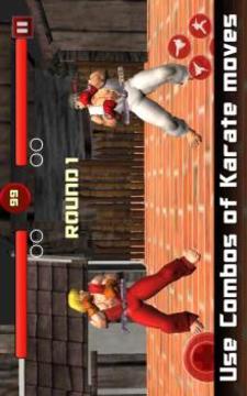 Karate Fighter - Taekwondo Kung fu Tiger Combat 3D游戏截图1