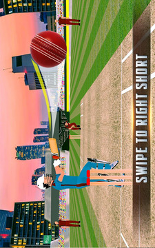 Play Cricket 2017游戏截图3