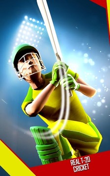 Play Cricket 2017游戏截图1