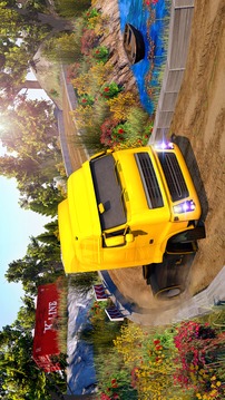 Truck Driver Rally Drift游戏截图2