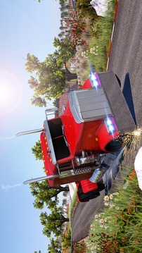 Truck Driver Rally Drift游戏截图1