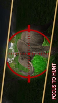 Special Hero Wild Animals Hunt游戏截图4