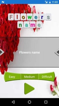 Flowers name游戏截图2